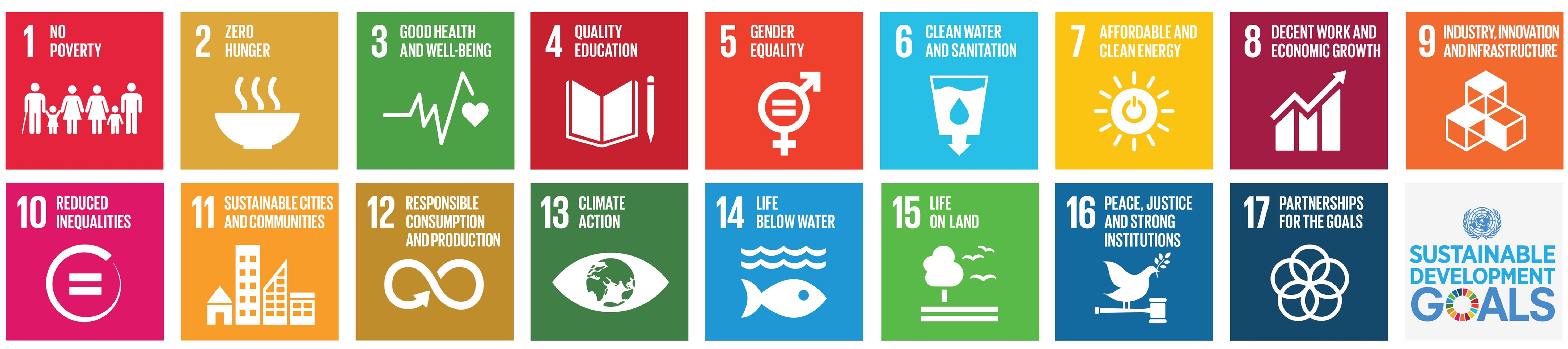 SDG icons and logo