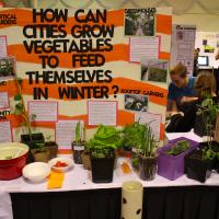 science fair poster about urban gardens with plants in front of it