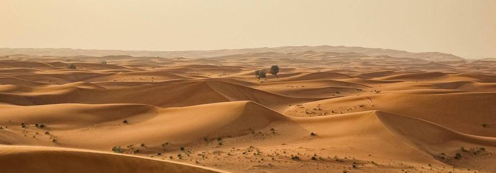 Sandscape in UAE