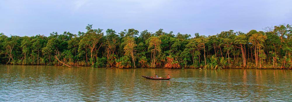 Mangrove trees and river with a two men on a small fishing boat