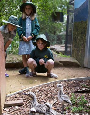 Children at a zoo