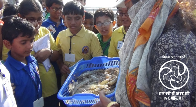 Students learn about marine life