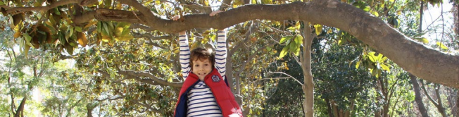 Kid hanging from a branch