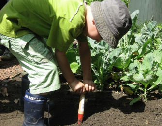 Child planting a tree