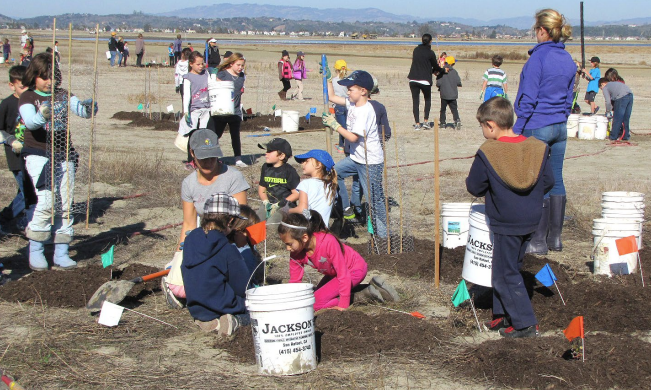 Kids engaging in outdoor learning activities 