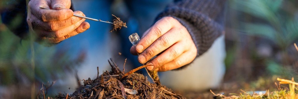 Person doing soil tests