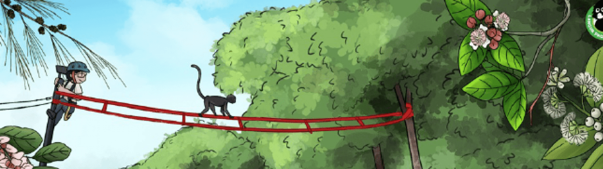 Illustration of a dusky langur crossing a canopy bridge