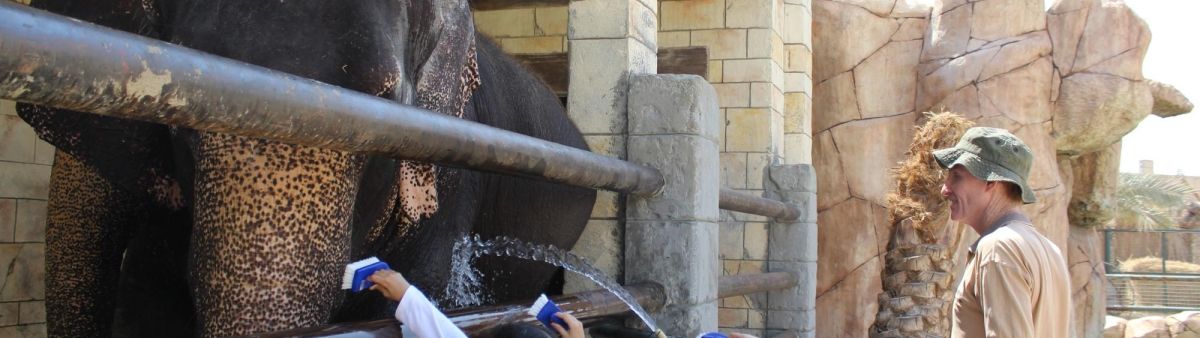 Image of children at a zoo.