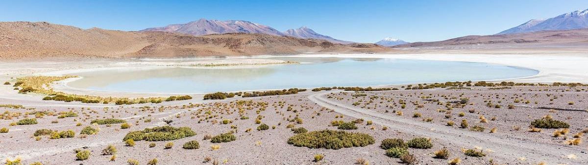 Arid environment in Bolivia