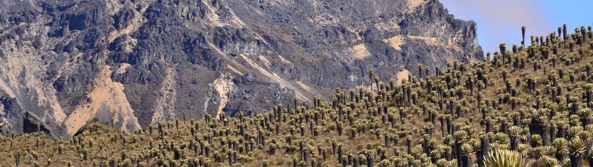 Arid, mountainous environment in Columbia