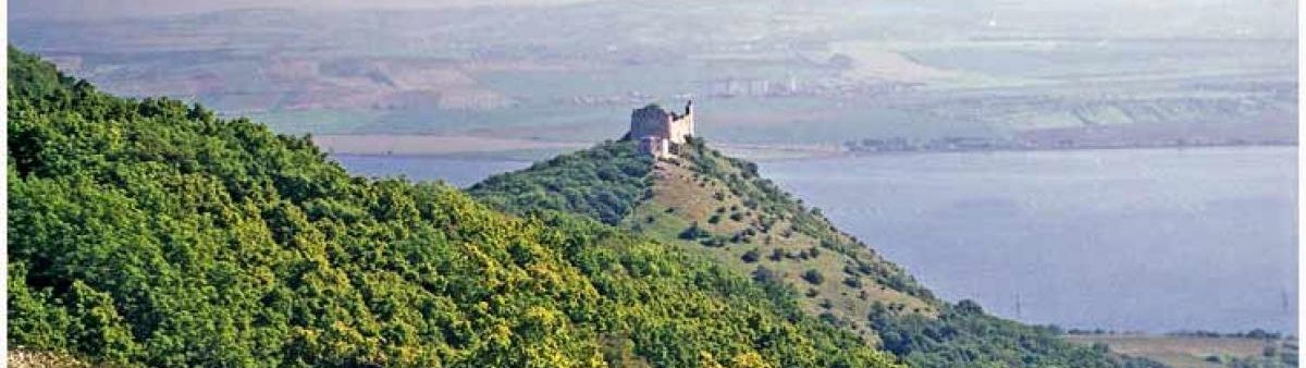 Castle near a body of water.