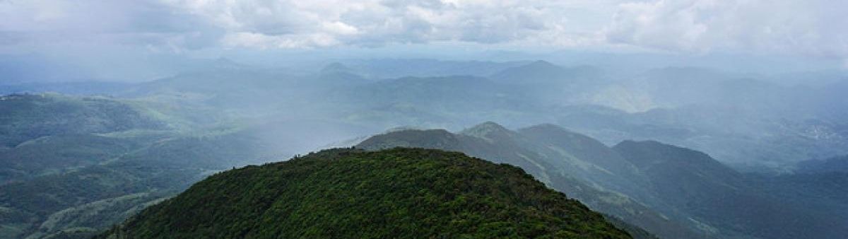 Foggy mountain top.