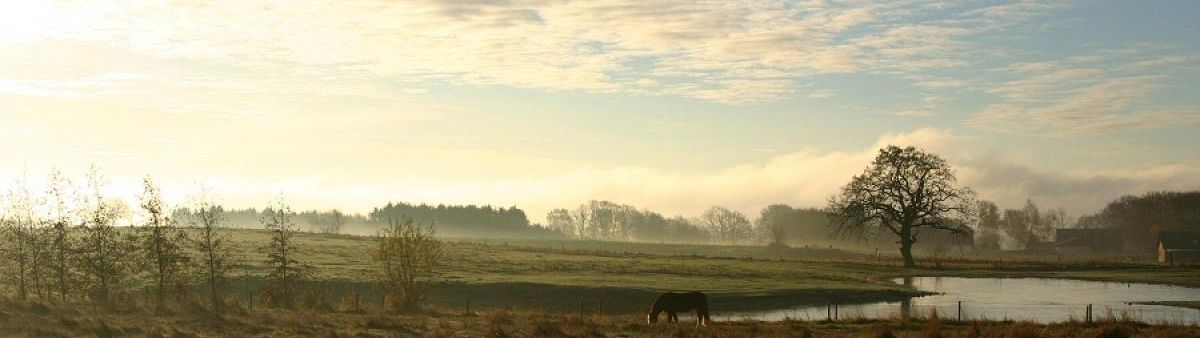 Rural farm field.