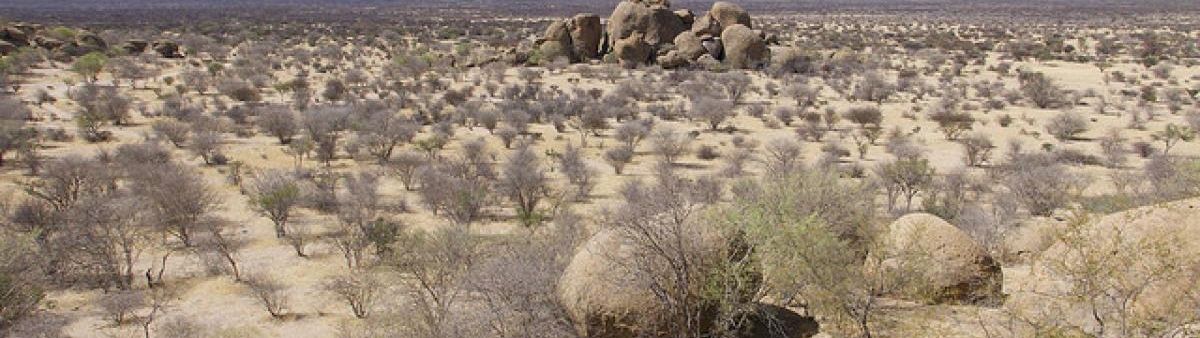 Image of a desert in Namibia
