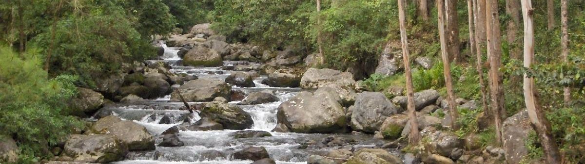 Image of a river