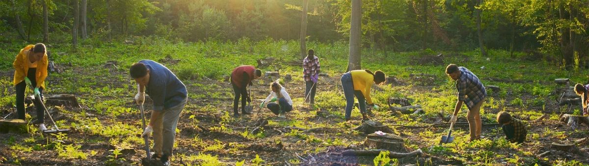 People planting trees_