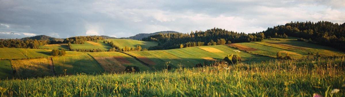 Image of farmland