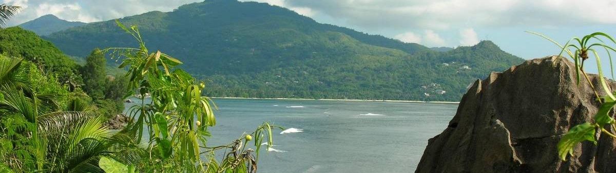 Image of a coastline