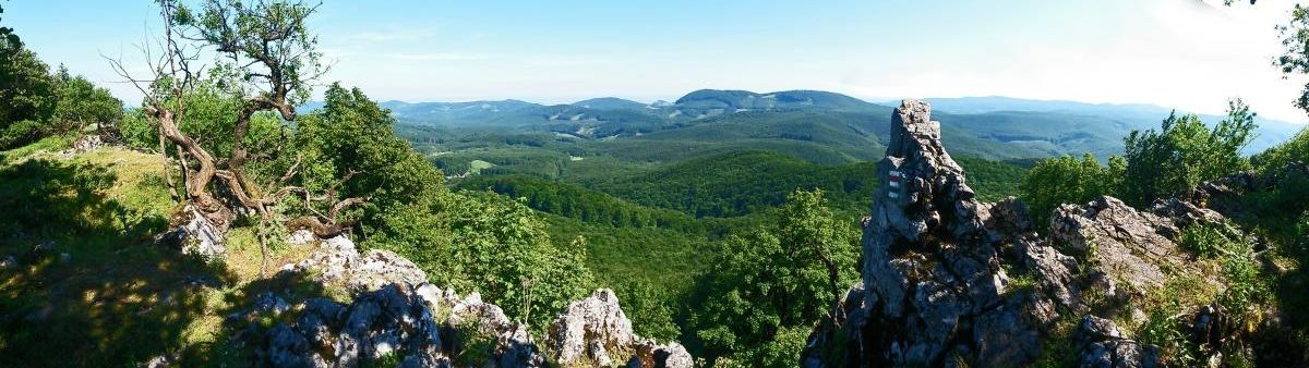 Image of a mountain hiking trail