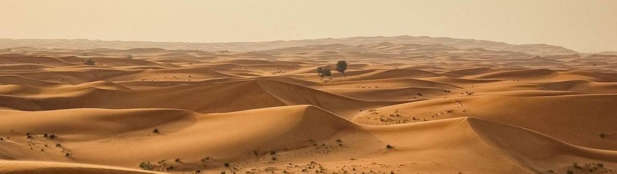 Image of a desert