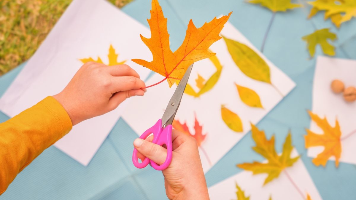 A child uses a leaf for a project.