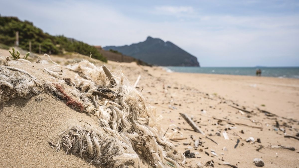 Debris on beach