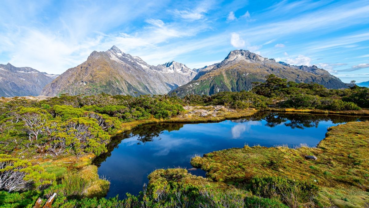 Fjord National Park New Zealand