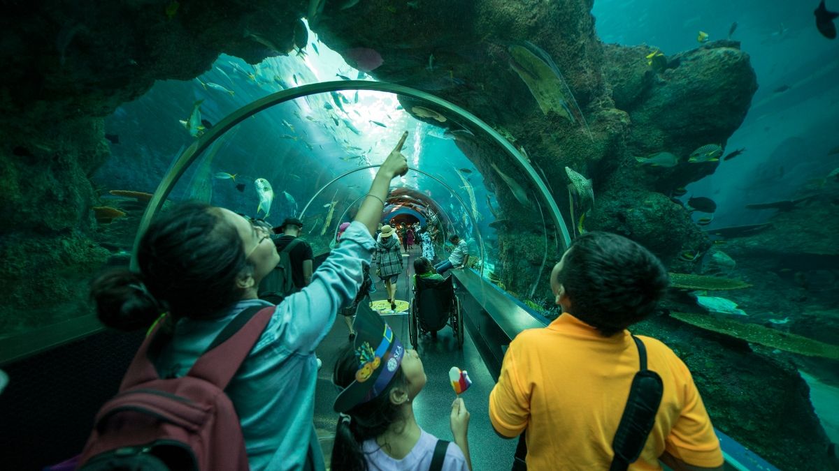 children at aquarium