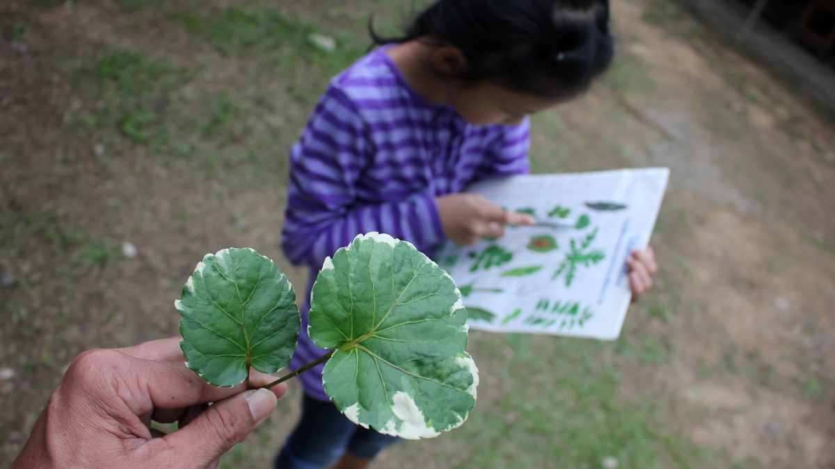 teacher holding leaf and student looking at book