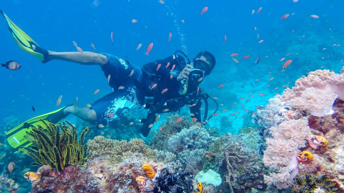 Diver photographer