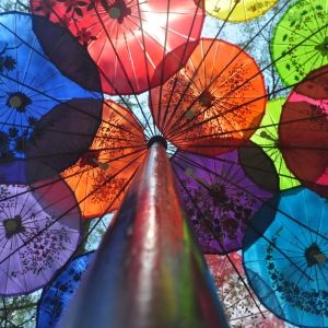 festival of umbrellas Japan