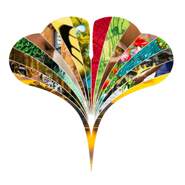 Image of a illustrated leaf design