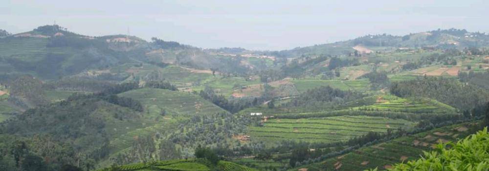 View of the forested Rwanda landscape