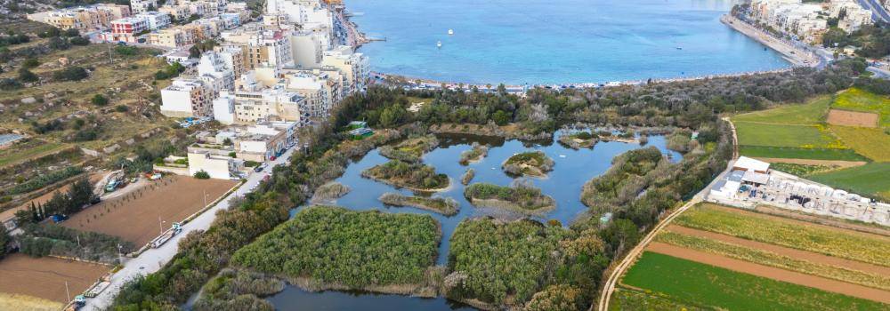 Birds-eye image of a marshy nature reserve sandwiched between city areas along a coastline